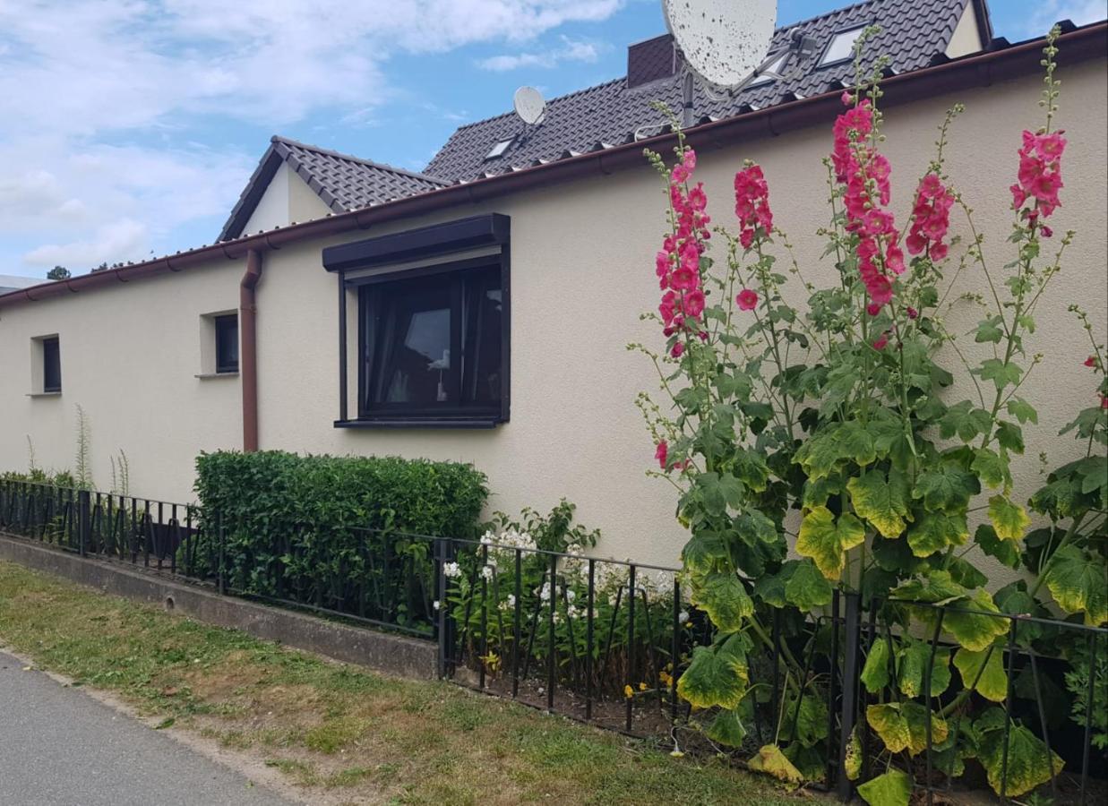 Ferienhaus An Der Ostsee Rerik Εξωτερικό φωτογραφία
